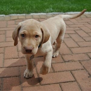 Meet your Posher, Kay